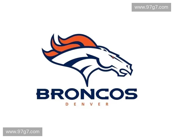 美国美式足球联赛核心规则全景解析与制度框架综述详尽指南研究篇